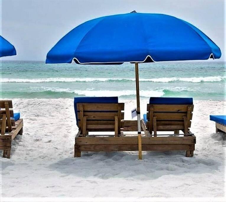 Calypso 203 1 Bedroom Gulf Front Apartment Panama City Beach